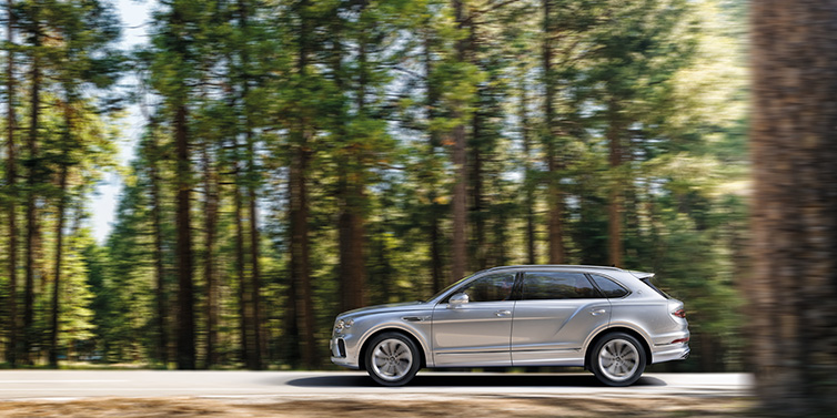 Bentley Phnom Penh Bentley Bentayga Extended Wheelbase SUV in Moonbeam paint driving dynamically on a forest road